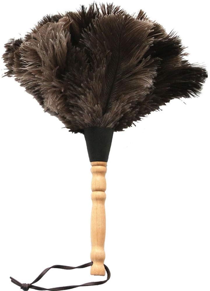 WYZXR Ostrich Feather Household Dust Brush (Small)