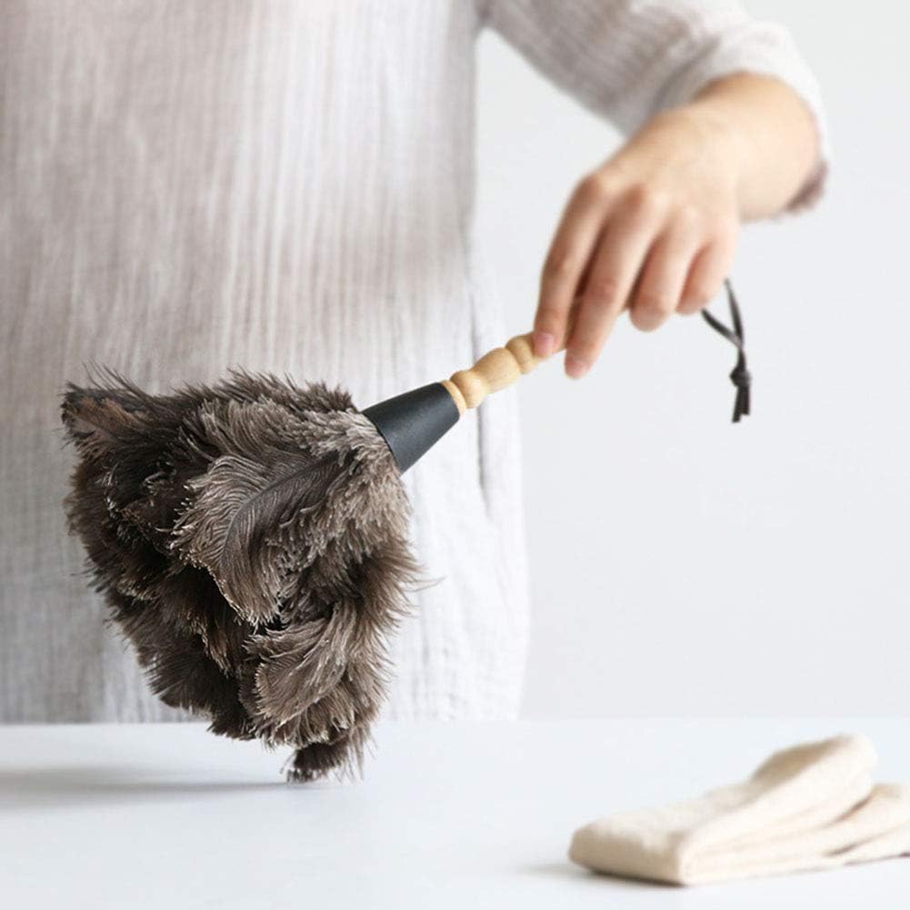 WYZXR Ostrich Feather Household Dust Brush (Small)