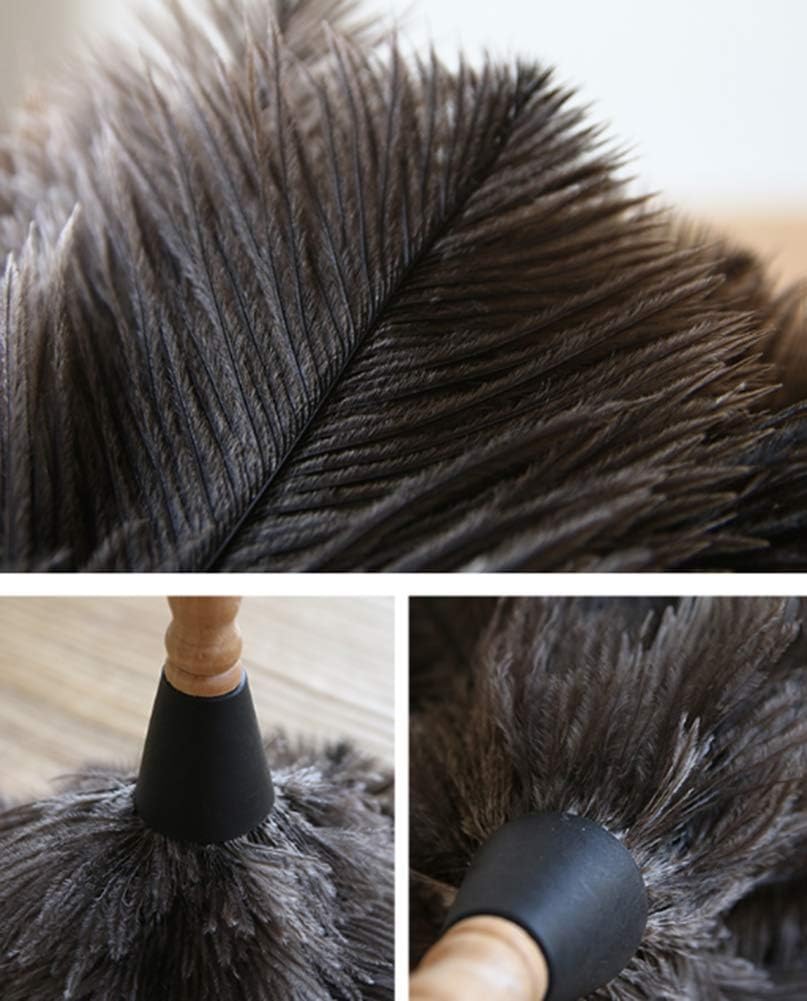 WYZXR Ostrich Feather Household Dust Brush (Small)