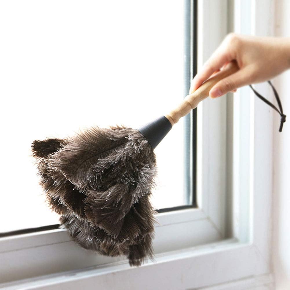 WYZXR Ostrich Feather Household Dust Brush (Small)