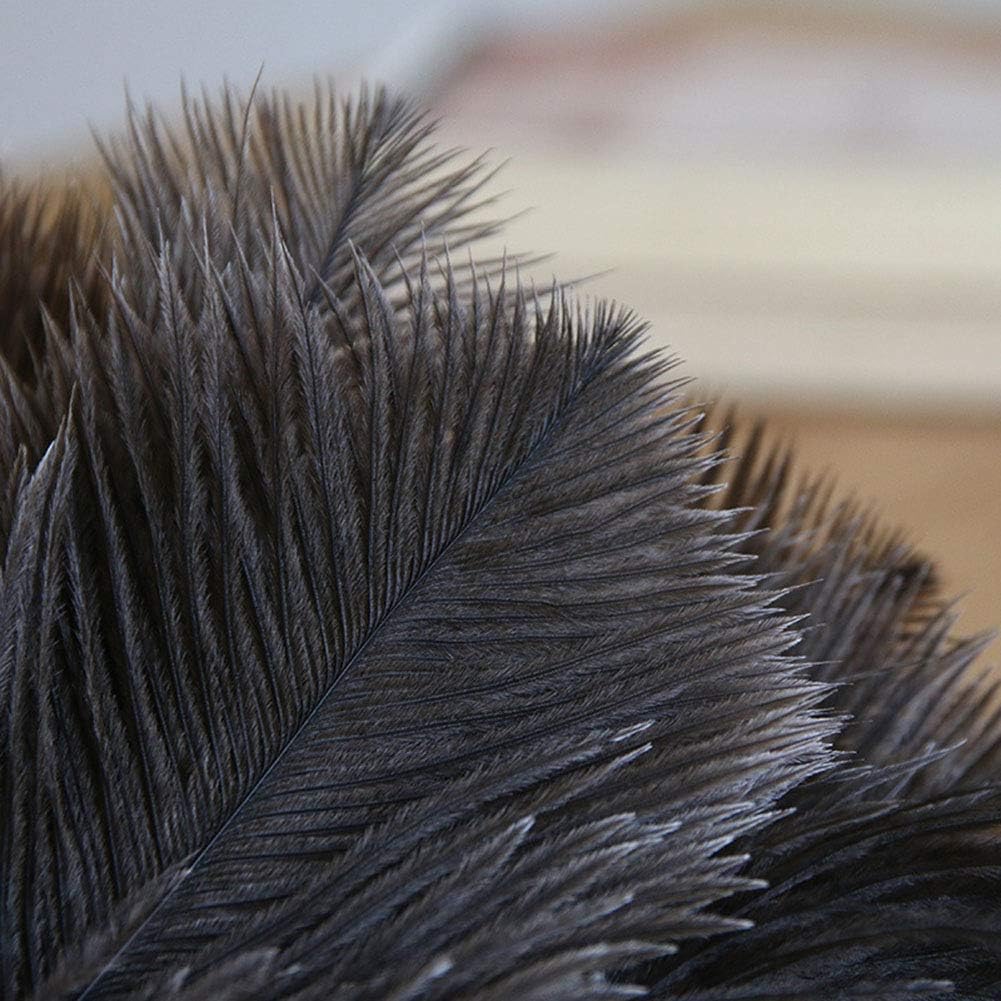 WYZXR Ostrich Feather Household Dust Brush (Small)