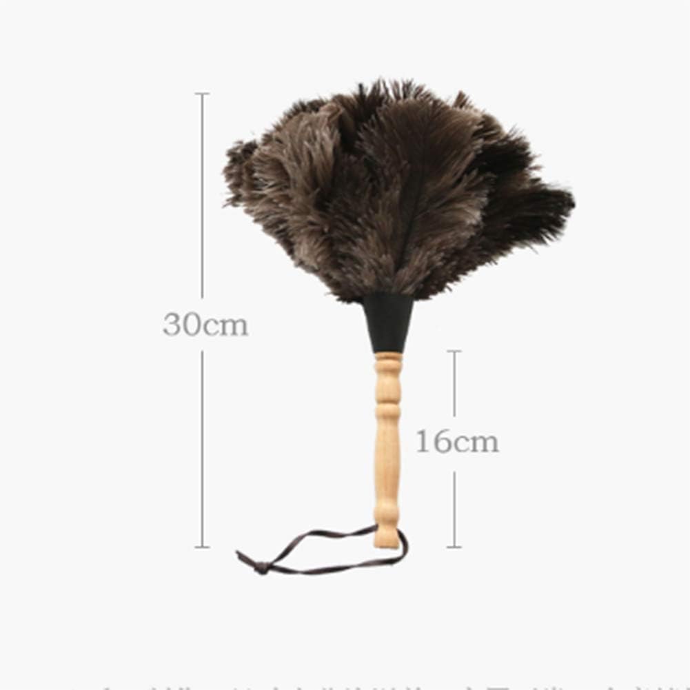 WYZXR Ostrich Feather Household Dust Brush (Small)